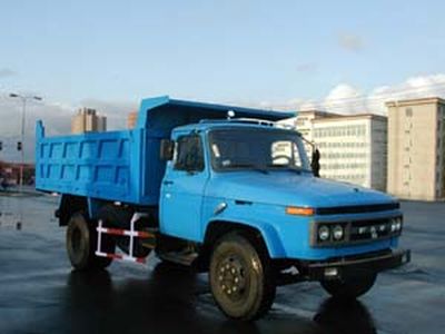 Great Wall Motors HTF3075CAF40H4 Diesel dump truck