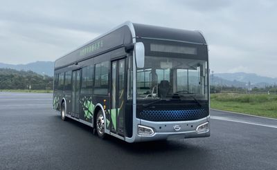 Feichi  FSQ6100FCEVGA Fuel cell city buses