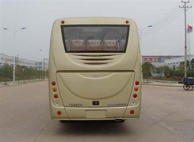 Tongxin  TX6820 coach