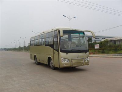 Tongxin  TX6820 coach