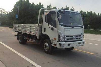 Foton  BJ3043D9JBAFE Dump truck