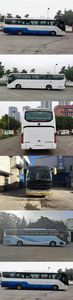 Foton  BJ6126U8BJB coach