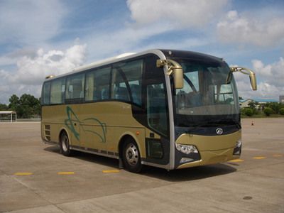 Feichi FSQ6950DYcoach