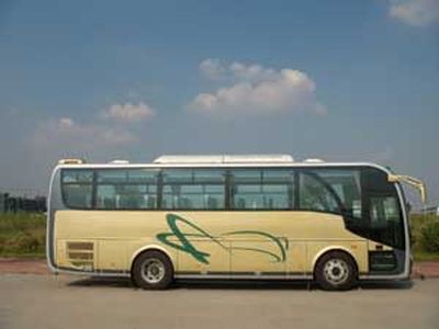 Feichi  FSQ6950DY coach