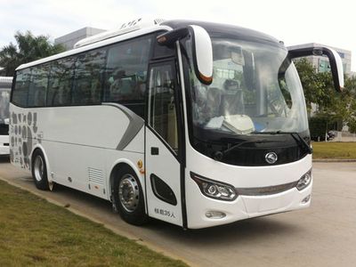 Jinlong  XMQ6821CYBEVL2 Pure electric passenger cars