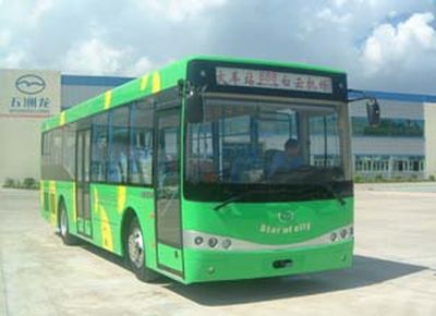 Wuzhoulong FDG6101BGCity buses