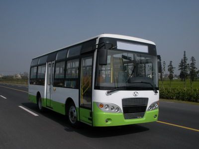 Friendship  ZGT6810NS City buses