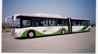 Jinghua Automobile BK6180CNGA Articulated city bus