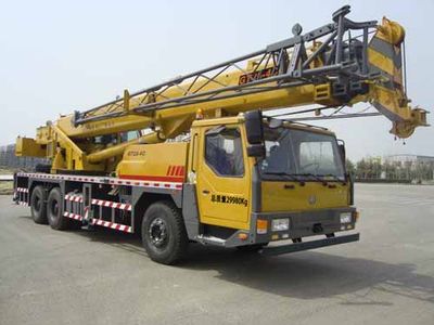 Dongyue  TA5300JQZGT2543 Car crane