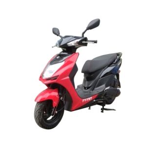 Feiya  FY110T12 Two wheeled motorcycles