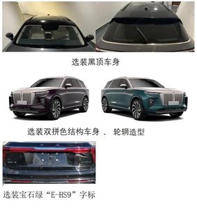 Hongqi  CA6520H0EVX Pure electric multi-purpose passenger vehicles