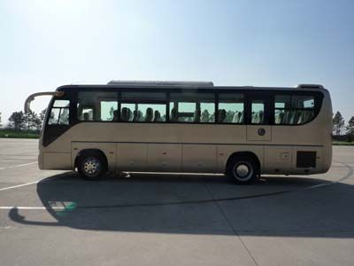 Heke  HK6959H coach