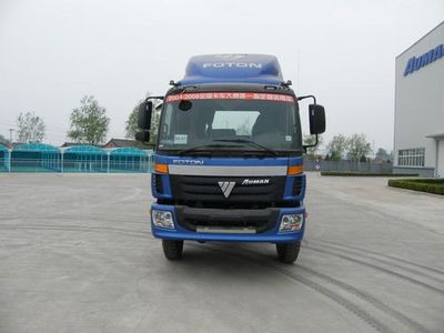 Ouman  BJ1313VPPGJ1 Truck