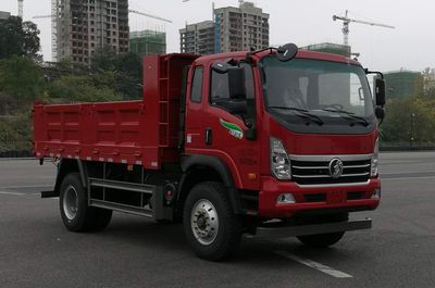 Ace carCDW3181A2Q6Dump truck