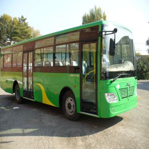 Longjiang brand automobiles LJK6101CNG City buses