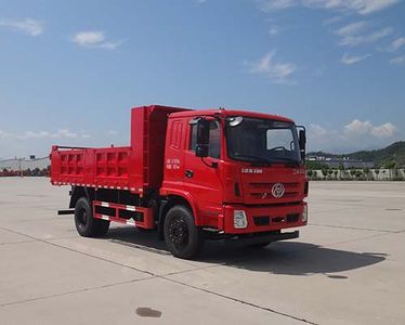 Shitong  STQ3166L04Y4N6 Dump truck