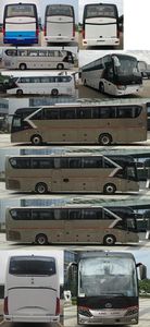 Jinlong  XMQ6129HYD5C1 coach