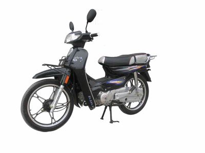 Bashan  BS1103E Two wheeled motorcycles