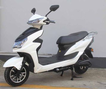 Lingli  LL1500DT9A Electric two wheeled motorcycle