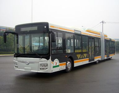 Shudu  CDK6182CH1R Articulated city bus