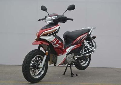 Zhaohu  ZH1103 Two wheeled motorcycles