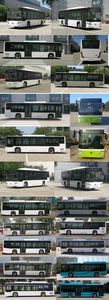 Foton  BJ6105EVCA45 Pure electric city buses