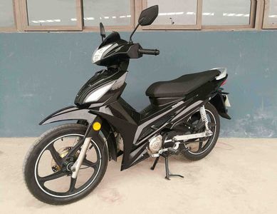 Tiandi Youxia  TD1103 Two wheeled motorcycles