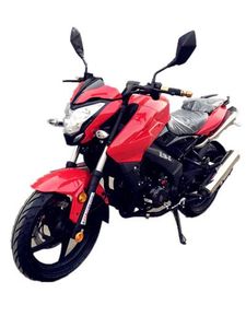 Xunlong  XL1503C Two wheeled motorcycles