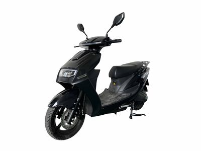 Dayang  DY1200DT12 Electric two wheeled motorcycle