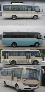 Jinlong  XMQ6728AYD4D coach