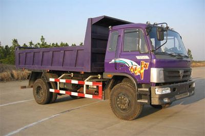 Huashan SX3110GPDump truck