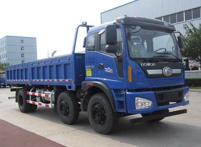 Foton  BJ3195DKPFB4 Dump truck