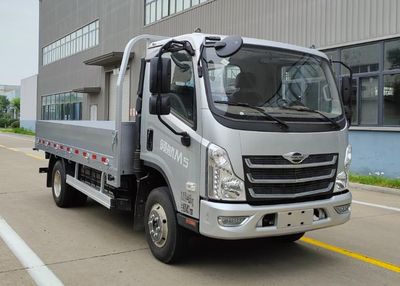 Foton  BJ1046V8JCA05 Truck