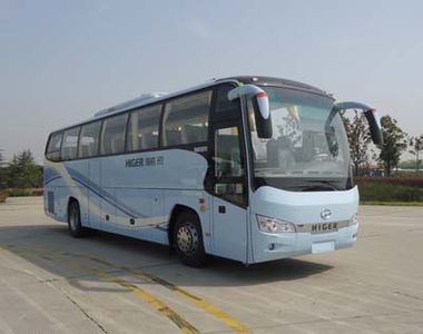 HagridKLQ6112HQE31coach