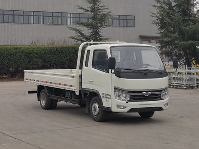 Foton  BJ1045V9PB723 Truck