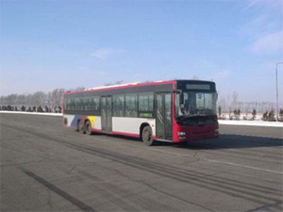 Huanghai  DD6137S22 coach