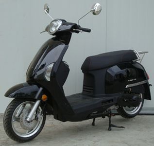 Fosdie FT48QT11C moped with two wheels 