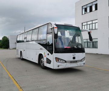 HagridKLQ6111YAE61coach