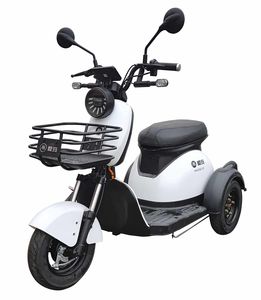 Emma  AM400DQZ8P Electric three wheeled light motorcycle