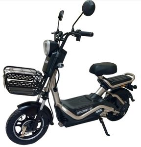 Europa  OP500DQT65 Electric two wheeled light motorcycle