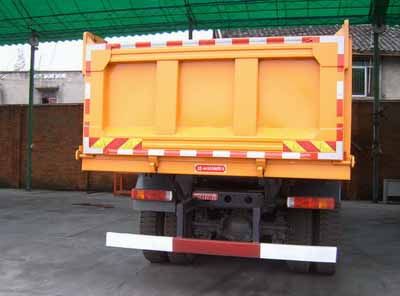 Dayun  DYX3311PA38WPD3G Dump truck