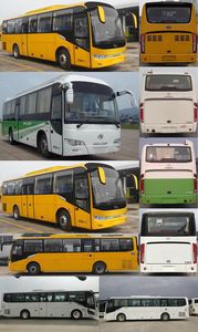 Jinlong  XMQ6110ACD5D coach