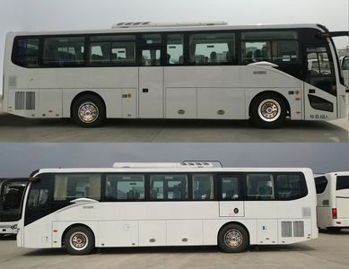 Jinlong  XMQ6110ACD5D coach