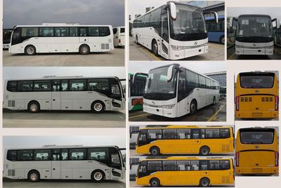 Jinlong  XMQ6110ACD5D coach