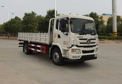 Dayun CGC1180D5BAEZTruck