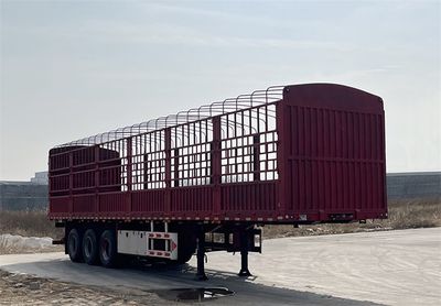 Xintaiyuan brand automobiles XTY9401CCY Gantry transport semi-trailer