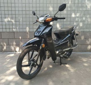 Shuaiya  SY1103D Two wheeled motorcycles