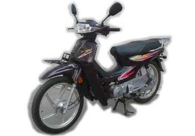 Luojia  LJ1109C Two wheeled motorcycles