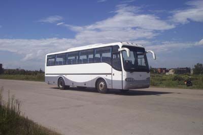 Shangrao  SR6112H coach