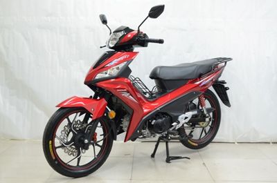 Dayang DY48Q68Mmoped with two wheels 